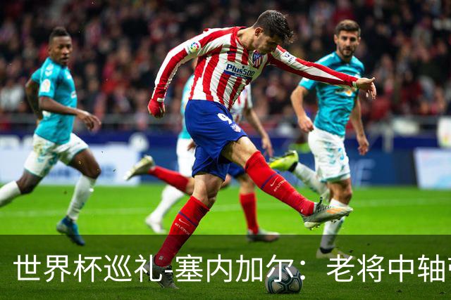 世界杯巡礼-塞内加尔：老将中轴带来安全感，非洲顶流前景可期！